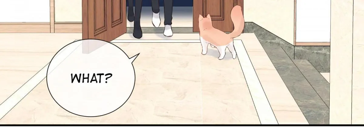 A Contractual Love Can Never Come True Chapter 56 page 34 - 