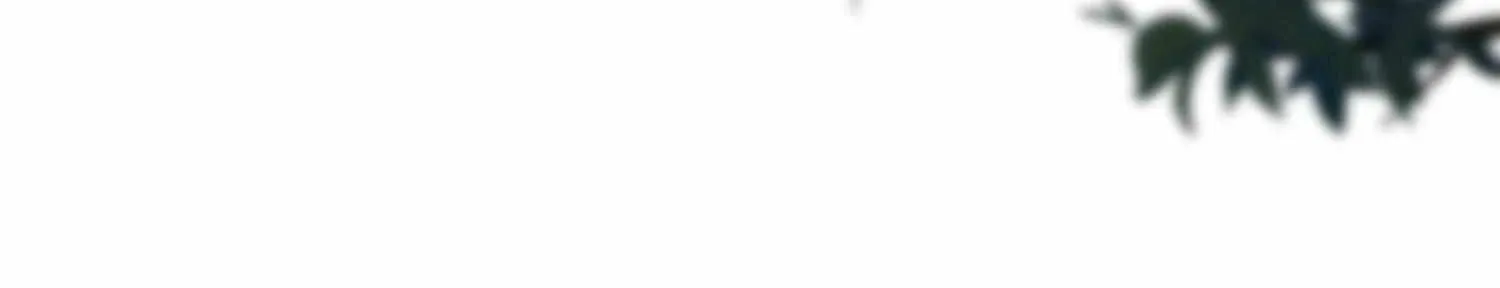 A Contractual Love Can Never Come True Chapter 60 page 37 - 