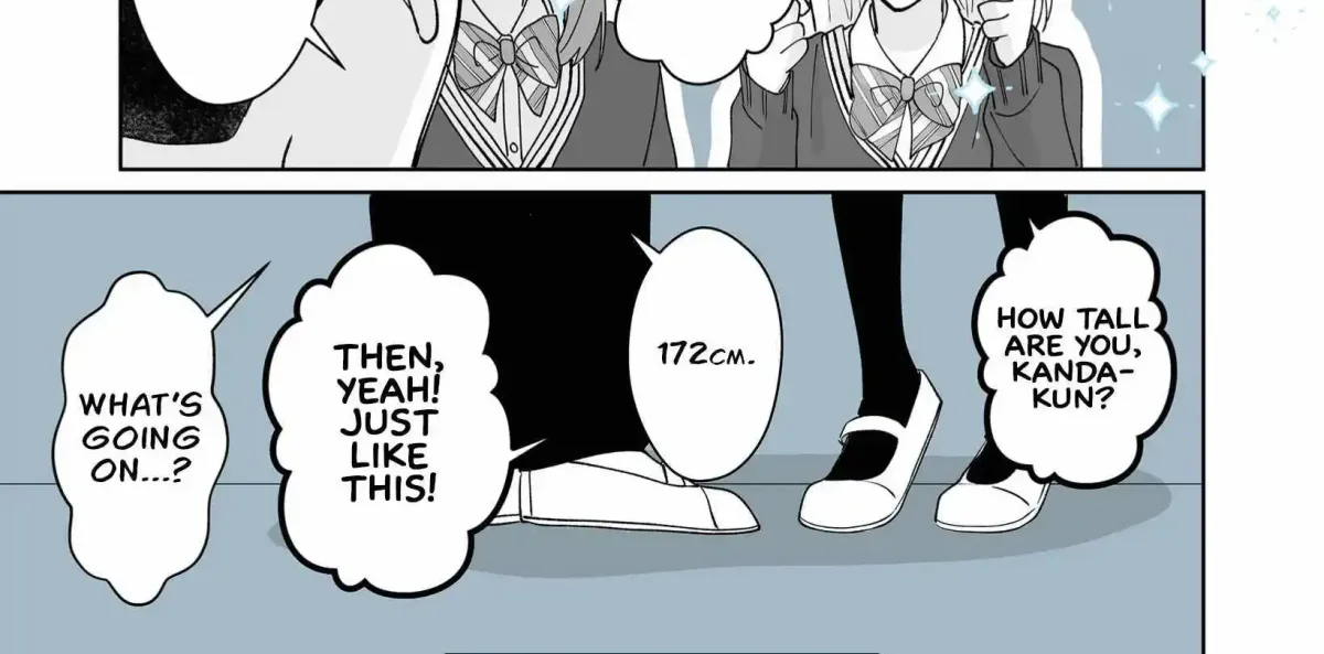 A Cool Girl and a 12cm Promise Chapter 20.2 page 2 - 