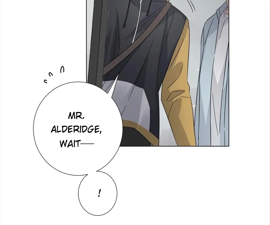 A Cross-Dresser