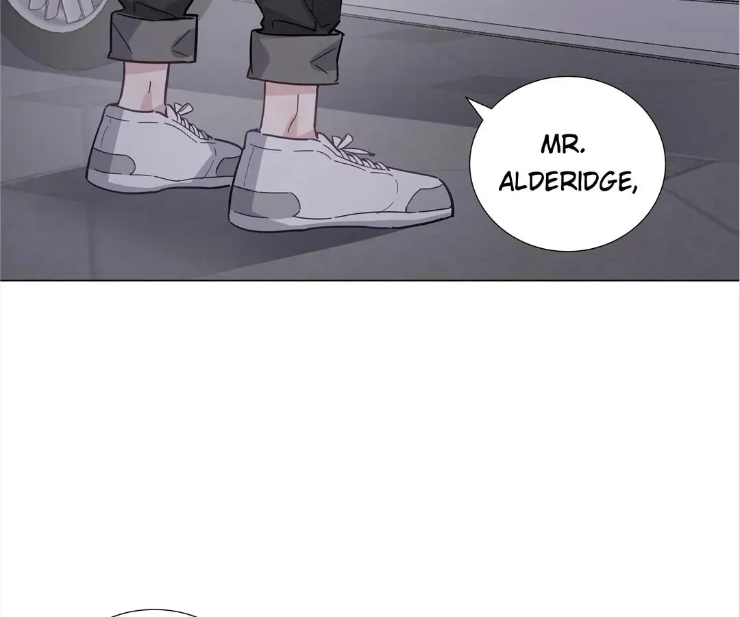 A Cross-Dresser