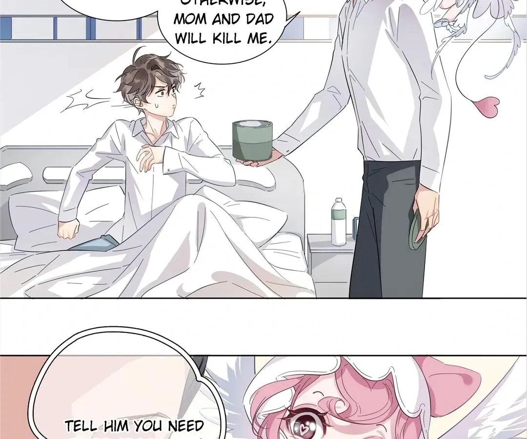 A Cross-Dresser