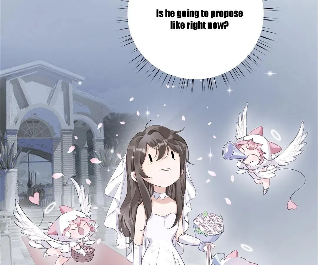 A Cross-Dresser