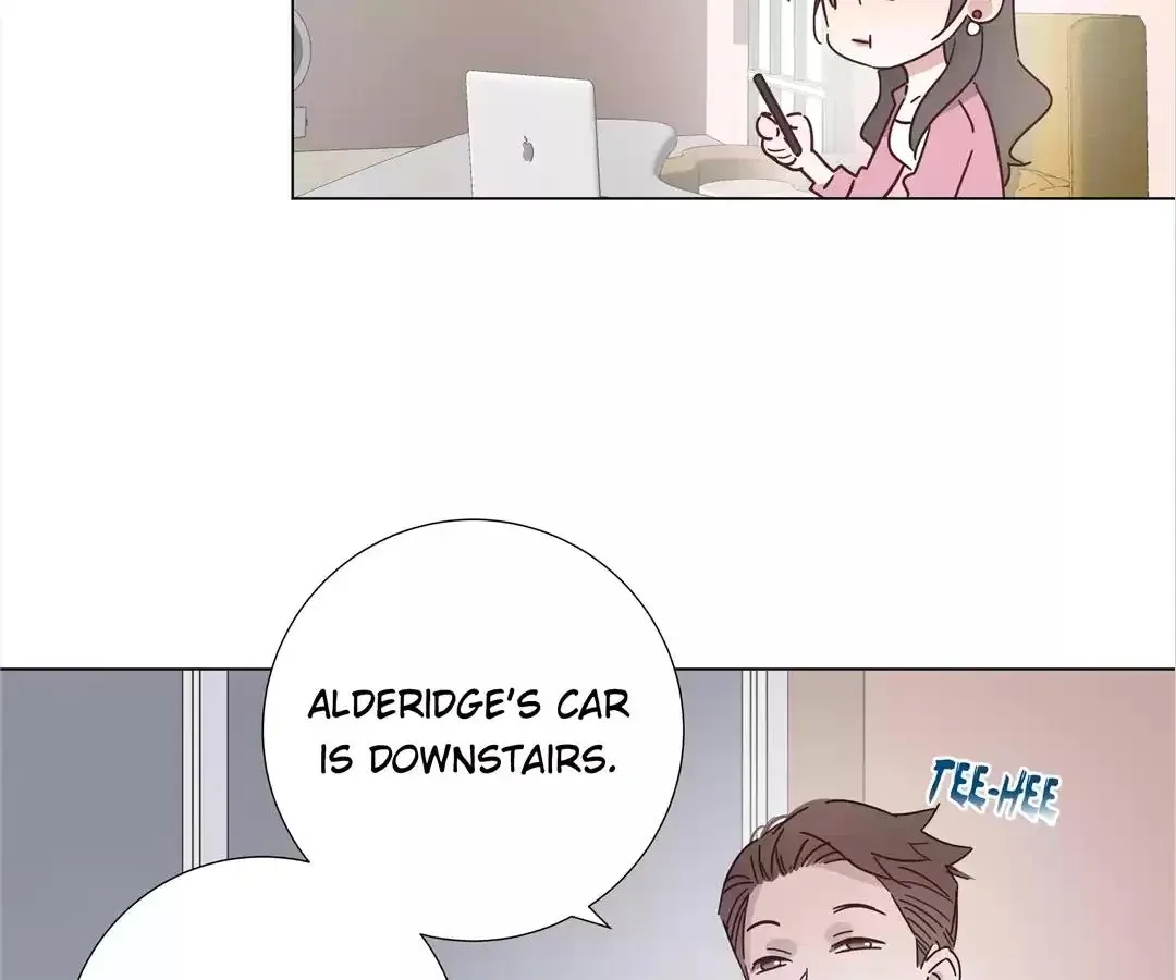 A Cross-Dresser