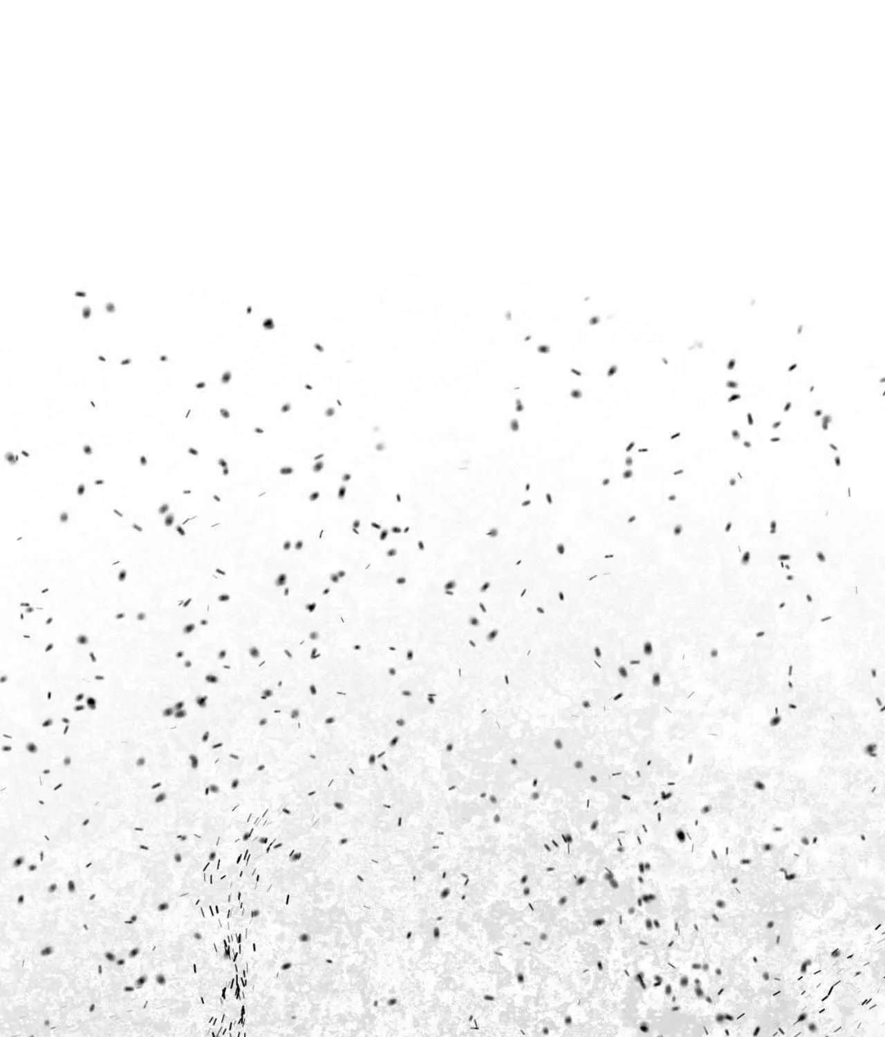 A Crown of Thorns Chapter 25 page 205 - 