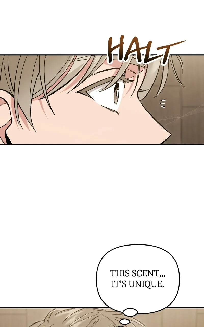 A Crush Curse Chapter 2 page 57 - 