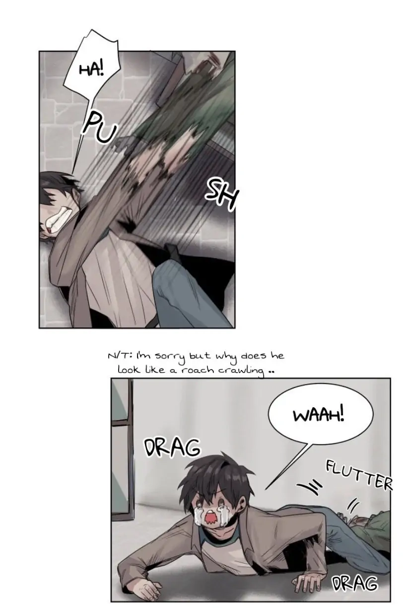 A Dead Crow