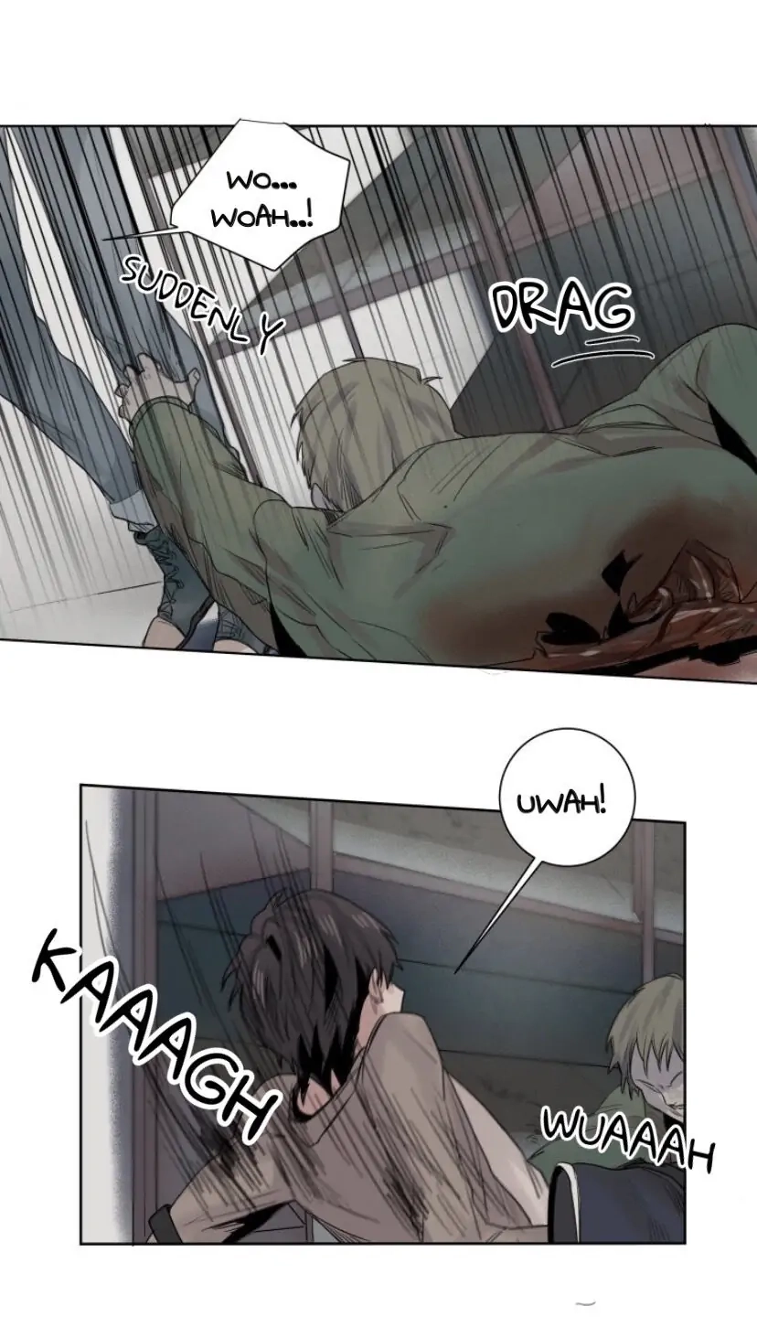 A Dead Crow