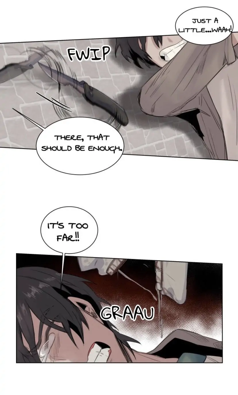 A Dead Crow