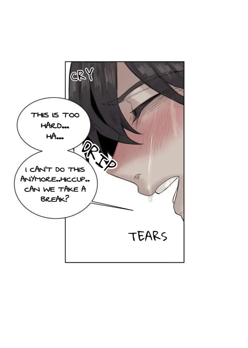 A Dead Crow