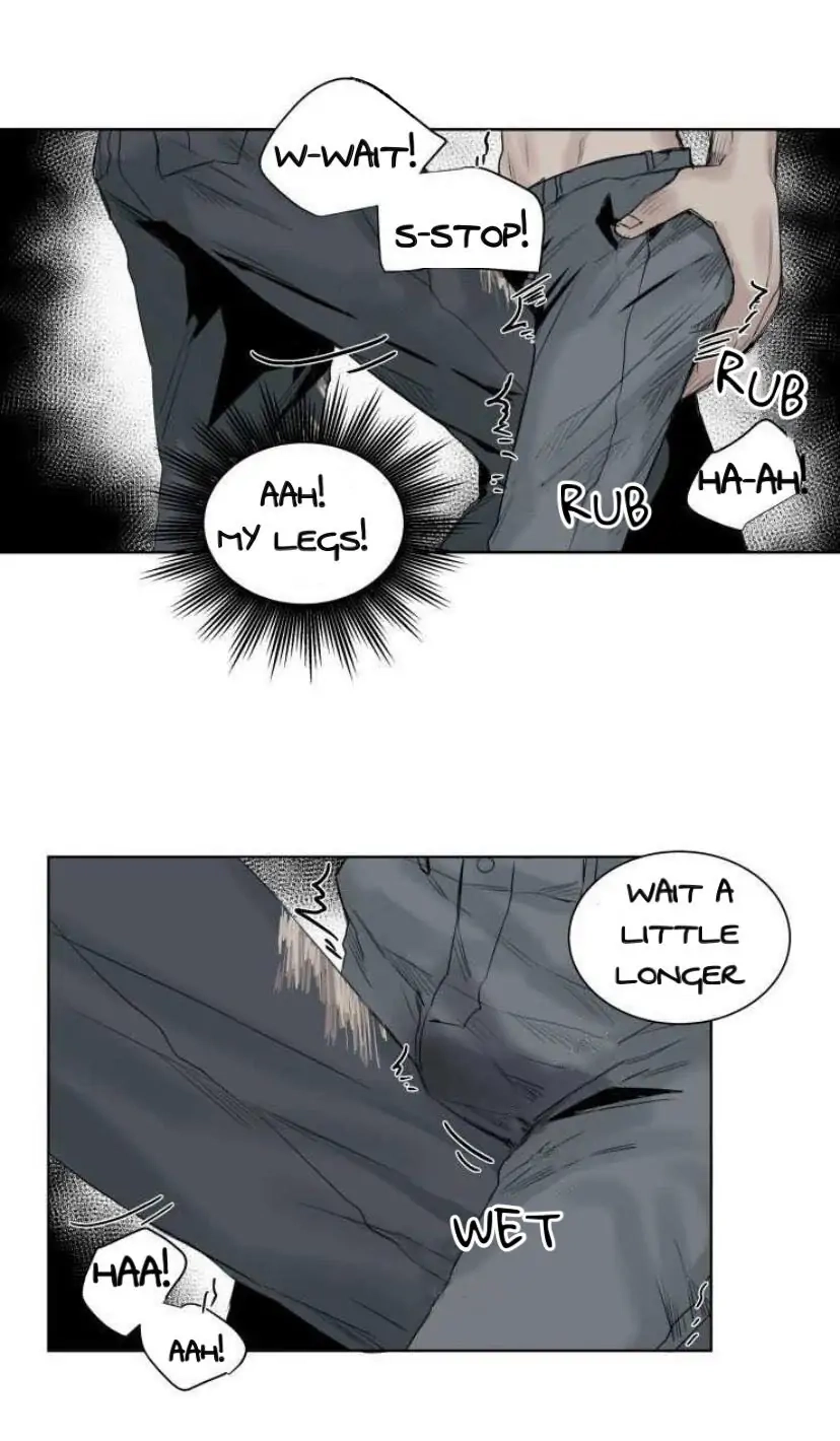 A Dead Crow