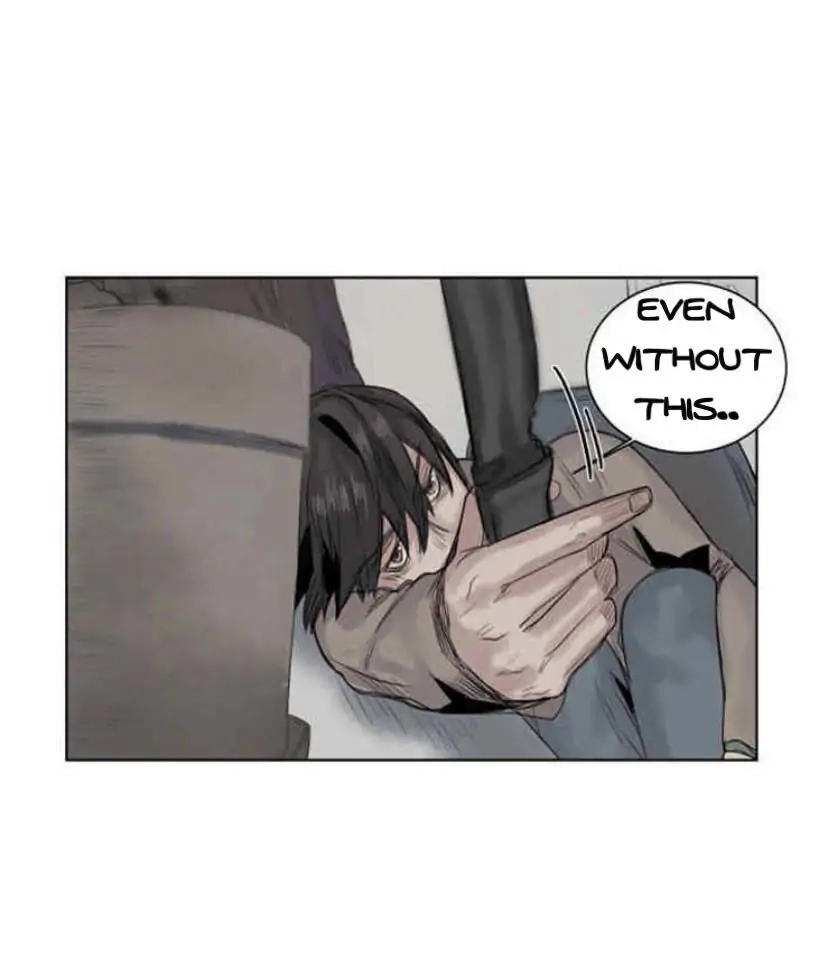 A Dead Crow