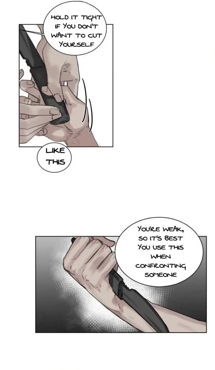 A Dead Crow