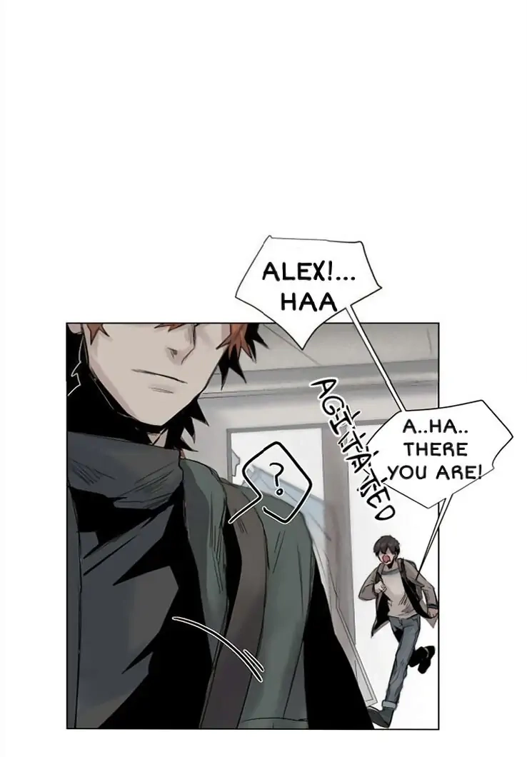 A Dead Crow