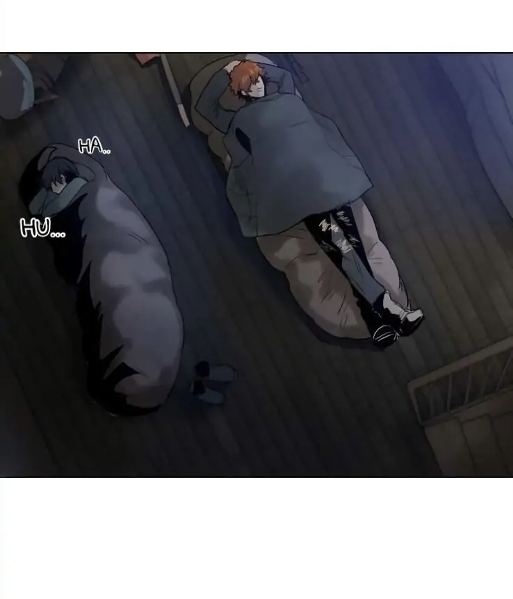 A Dead Crow