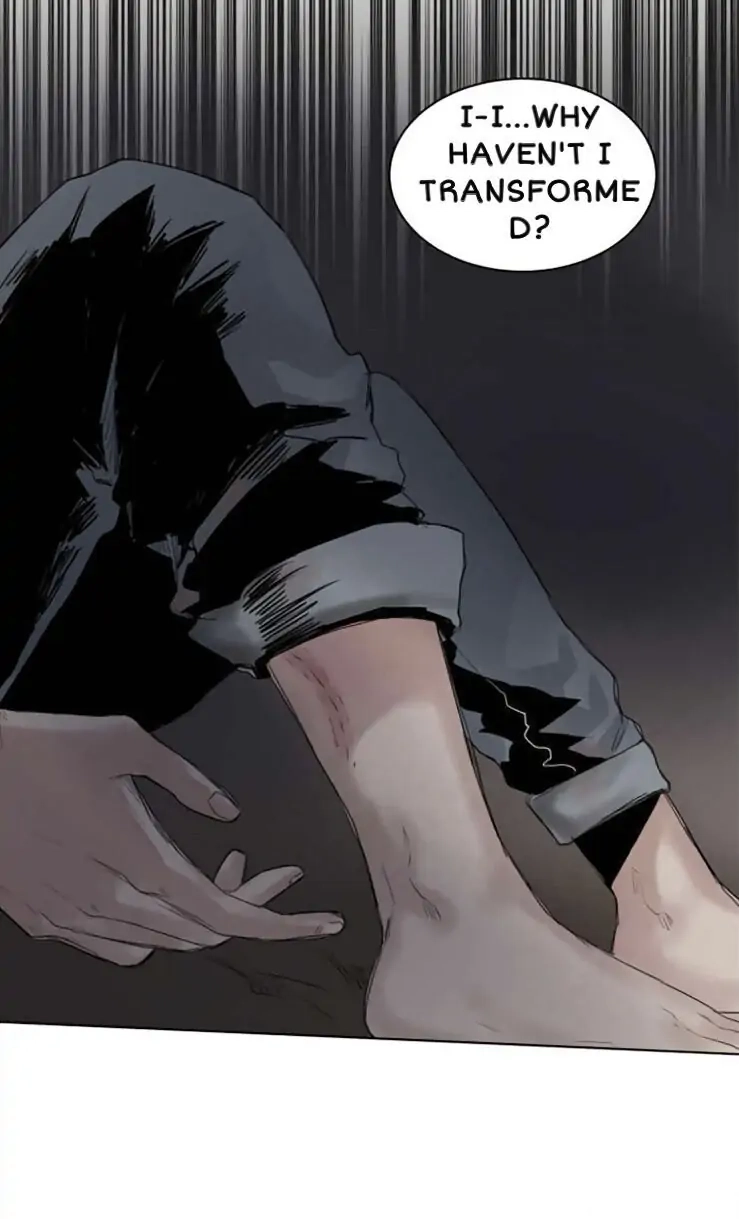 A Dead Crow