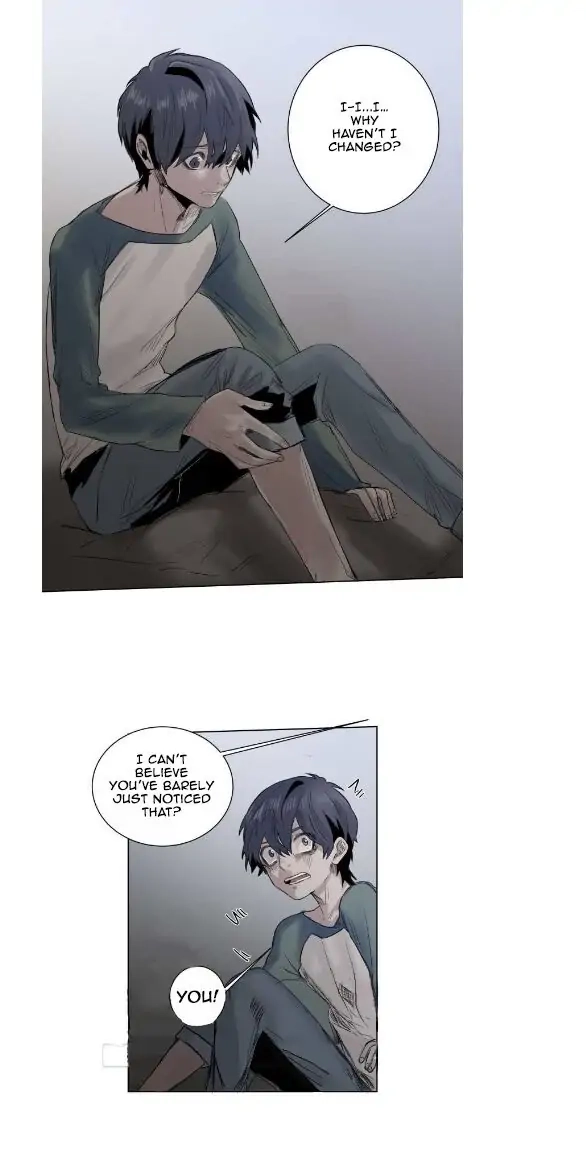 A Dead Crow