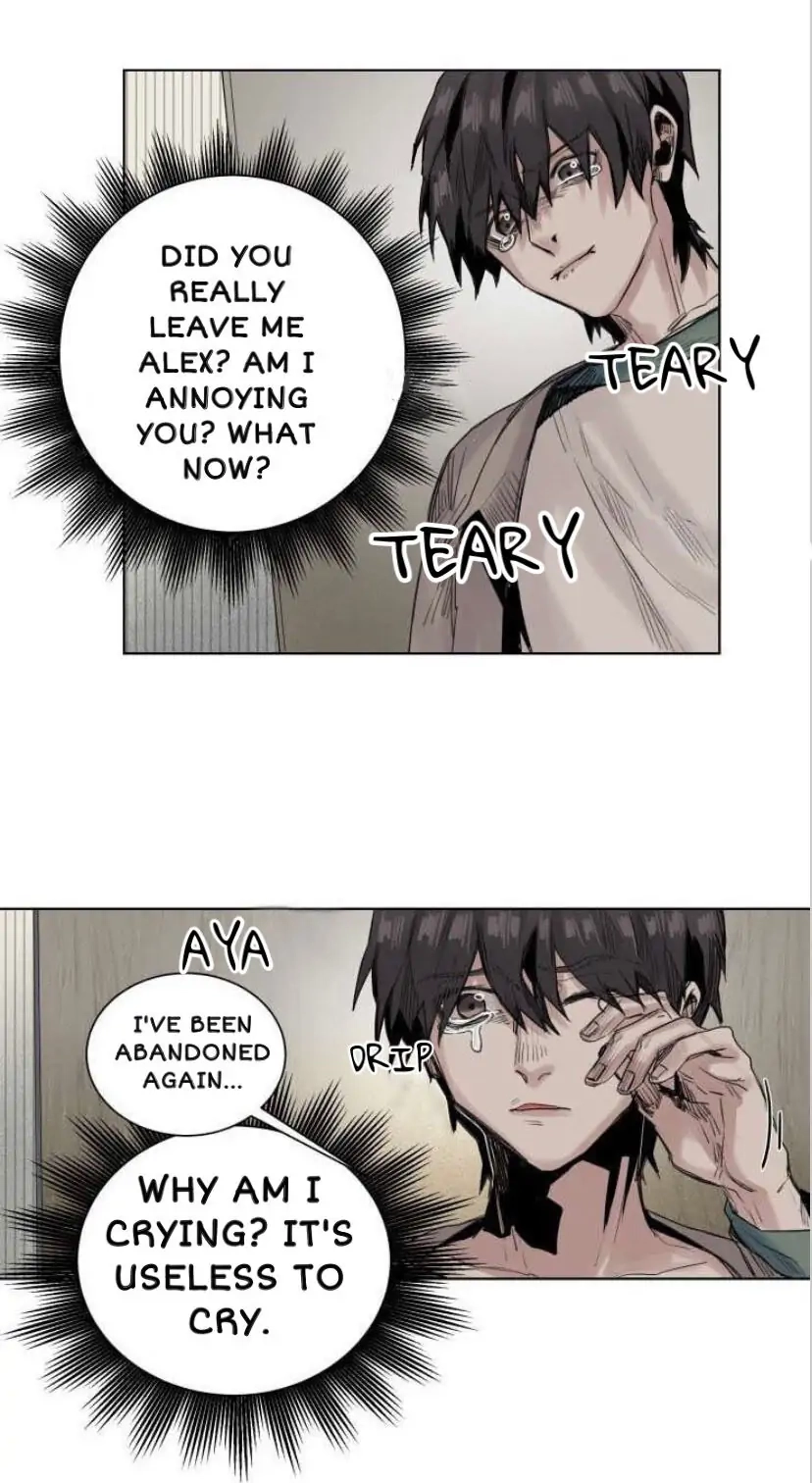 A Dead Crow