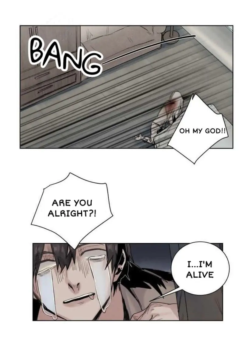 A Dead Crow