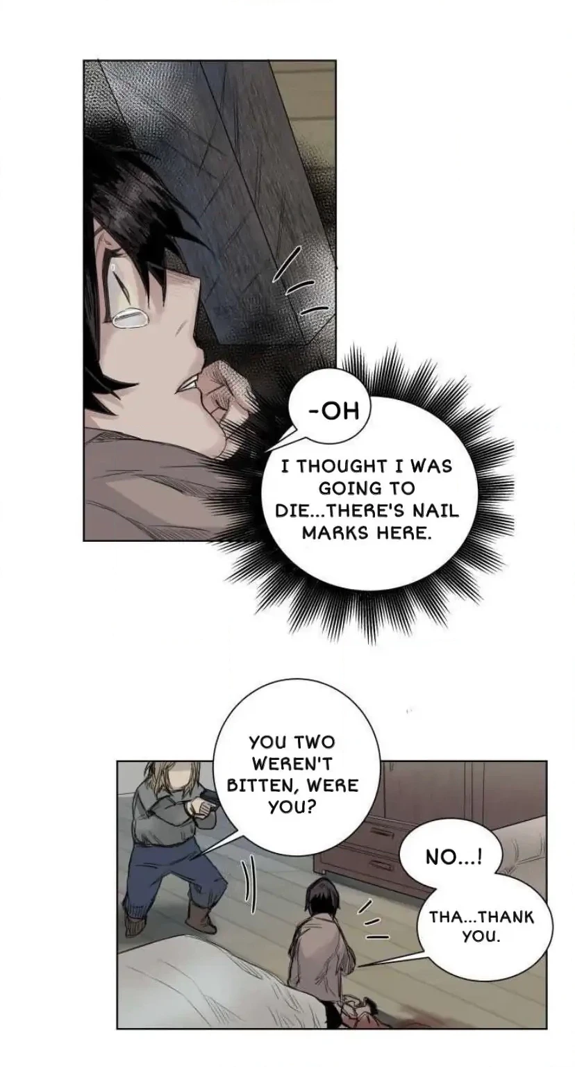 A Dead Crow