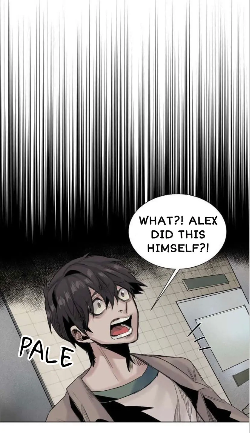 A Dead Crow
