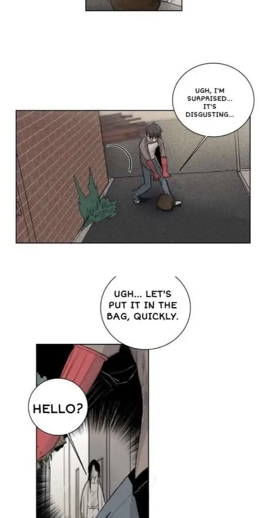 A Dead Crow