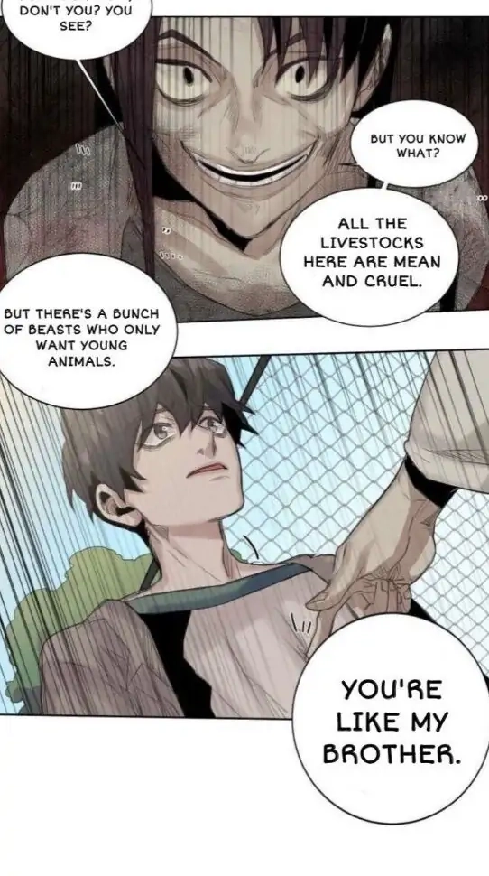 A Dead Crow