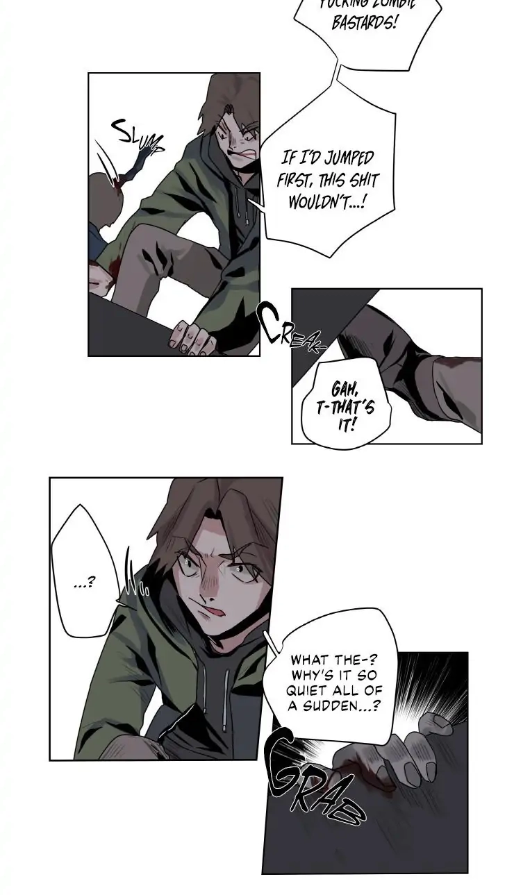 A Dead Crow