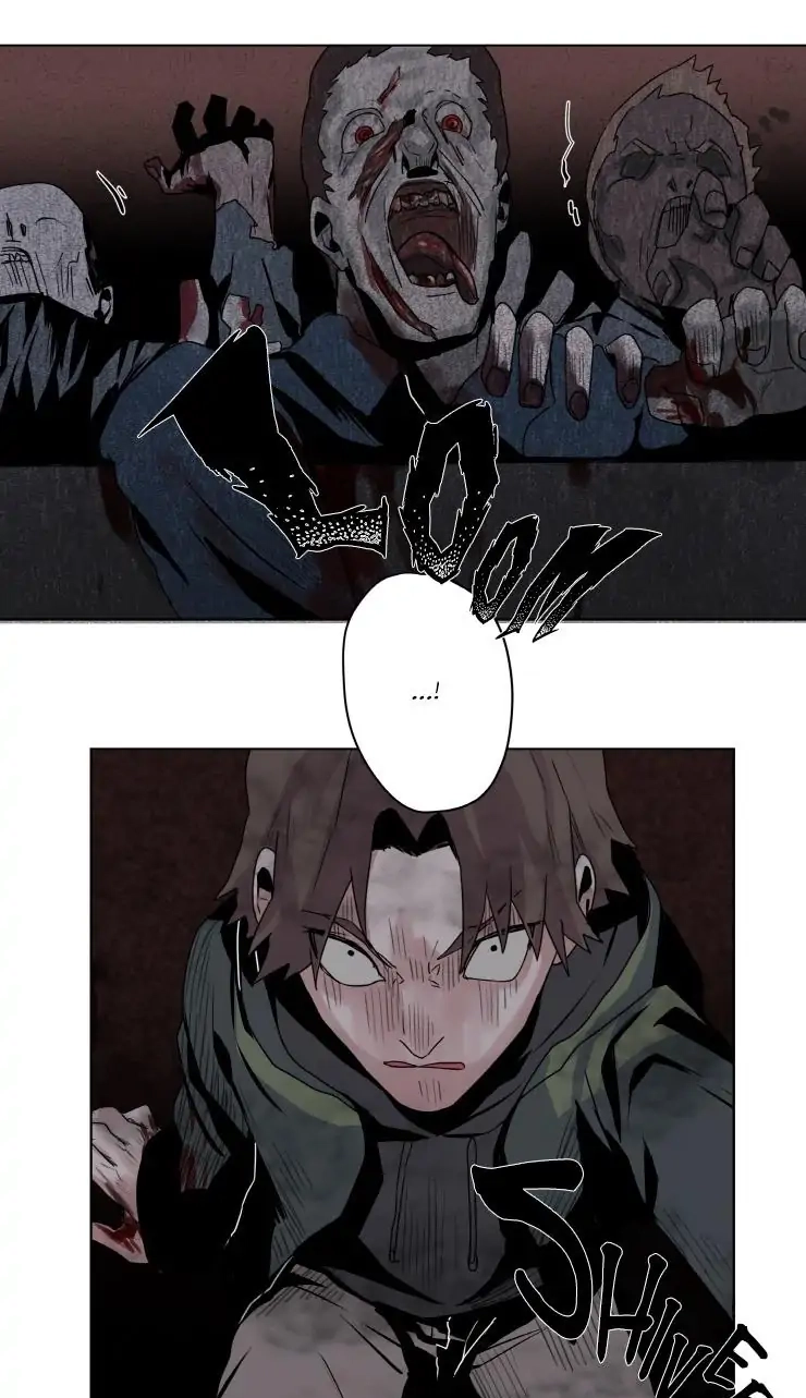 A Dead Crow