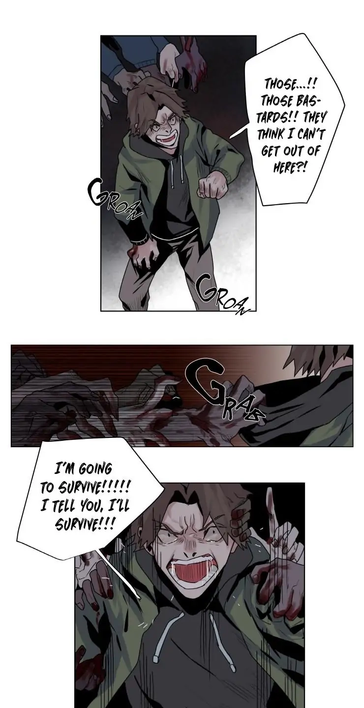 A Dead Crow