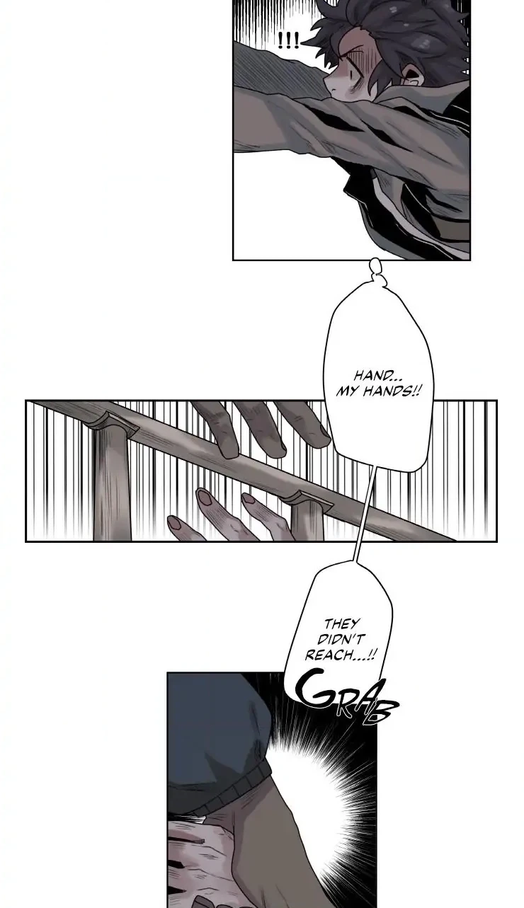 A Dead Crow