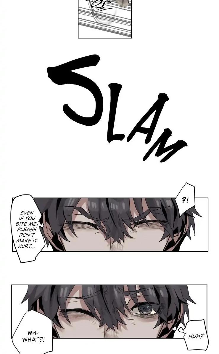A Dead Crow