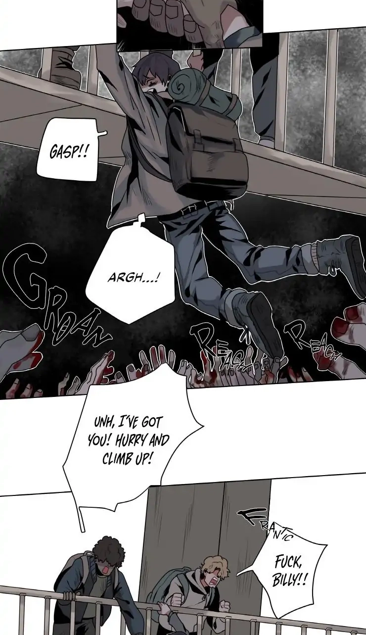 A Dead Crow