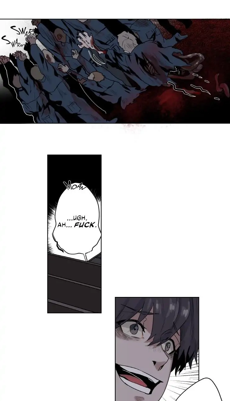 A Dead Crow