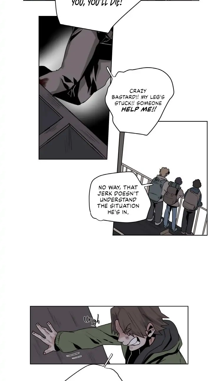 A Dead Crow