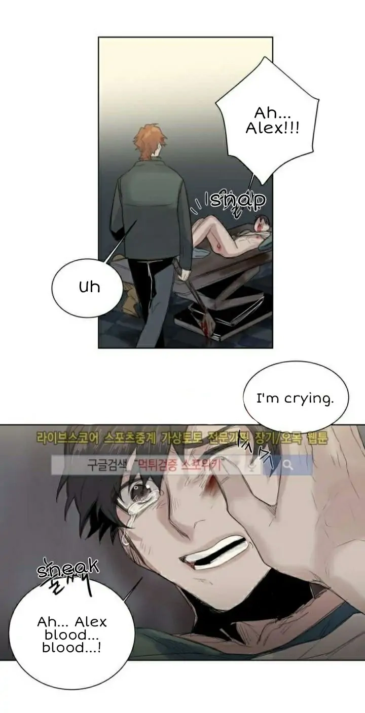 A Dead Crow