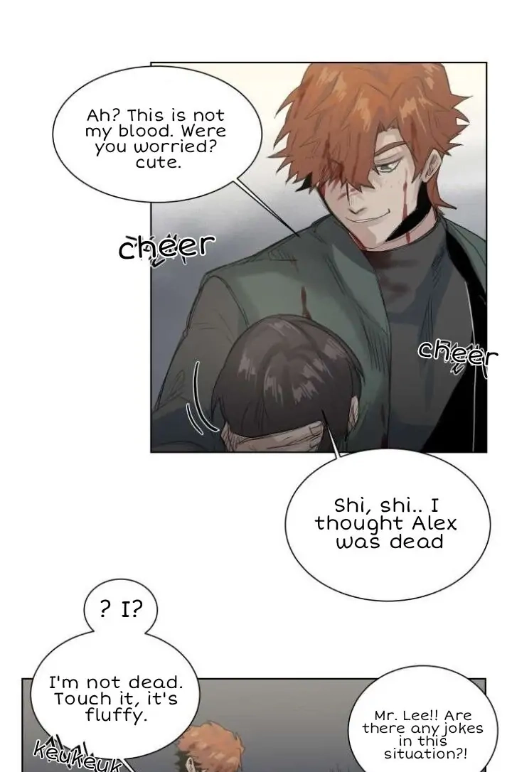 A Dead Crow