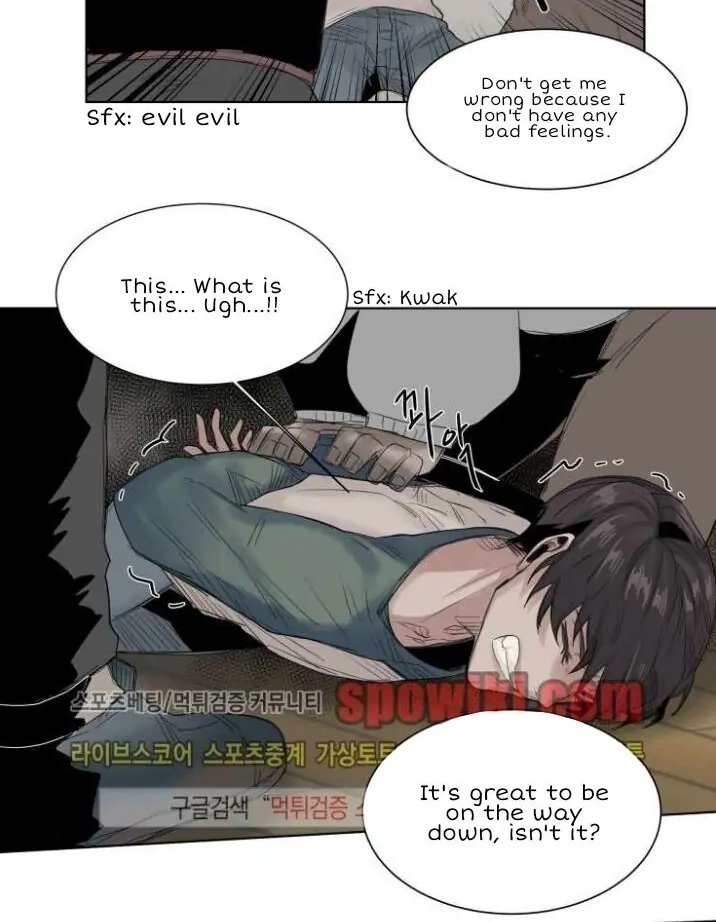 A Dead Crow
