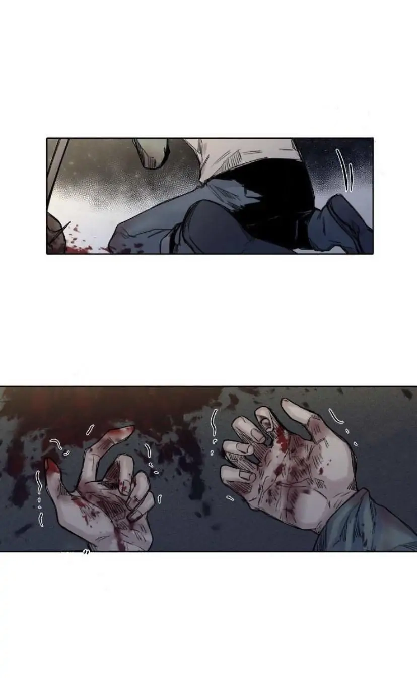 A Dead Crow