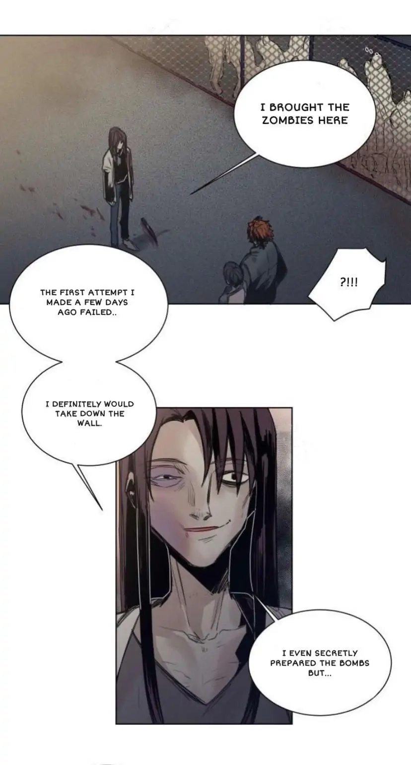 A Dead Crow