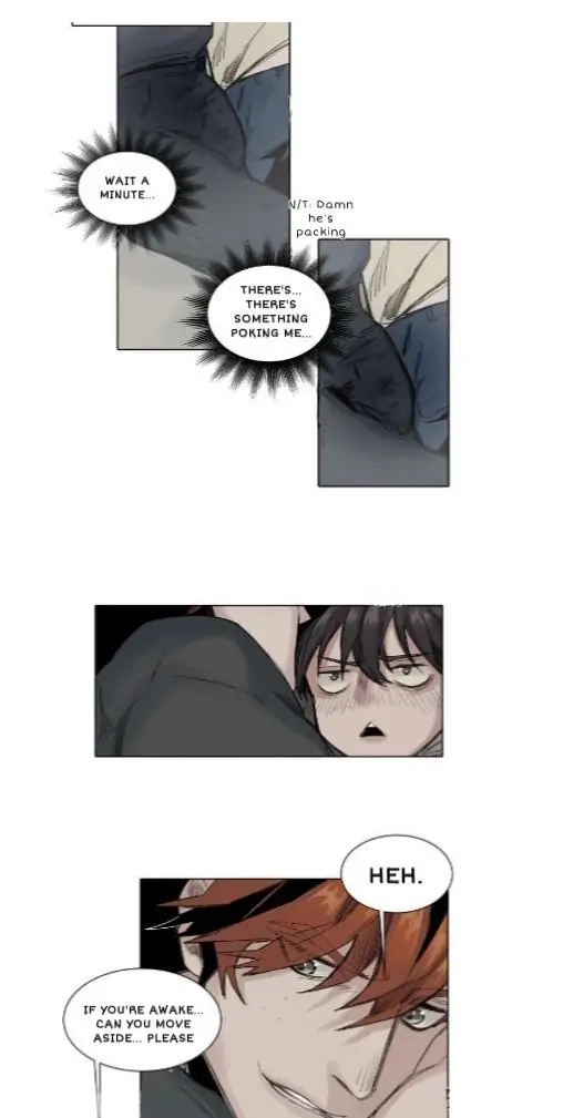 A Dead Crow