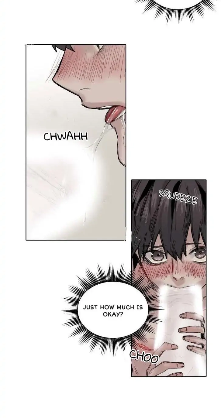 A Dead Crow