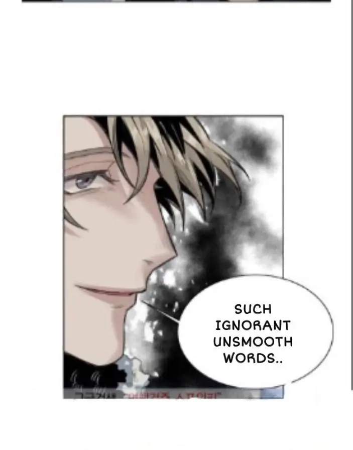 A Dead Crow