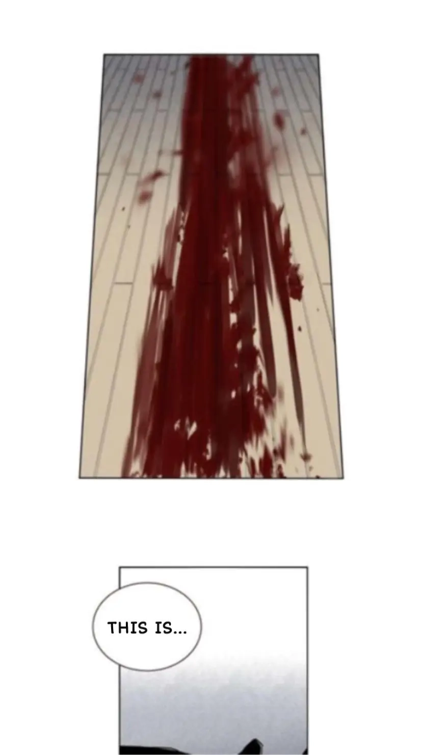 A Dead Crow