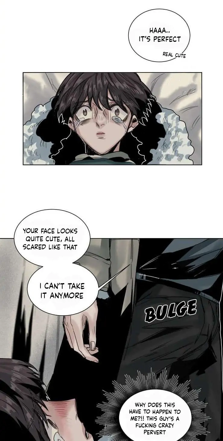 A Dead Crow
