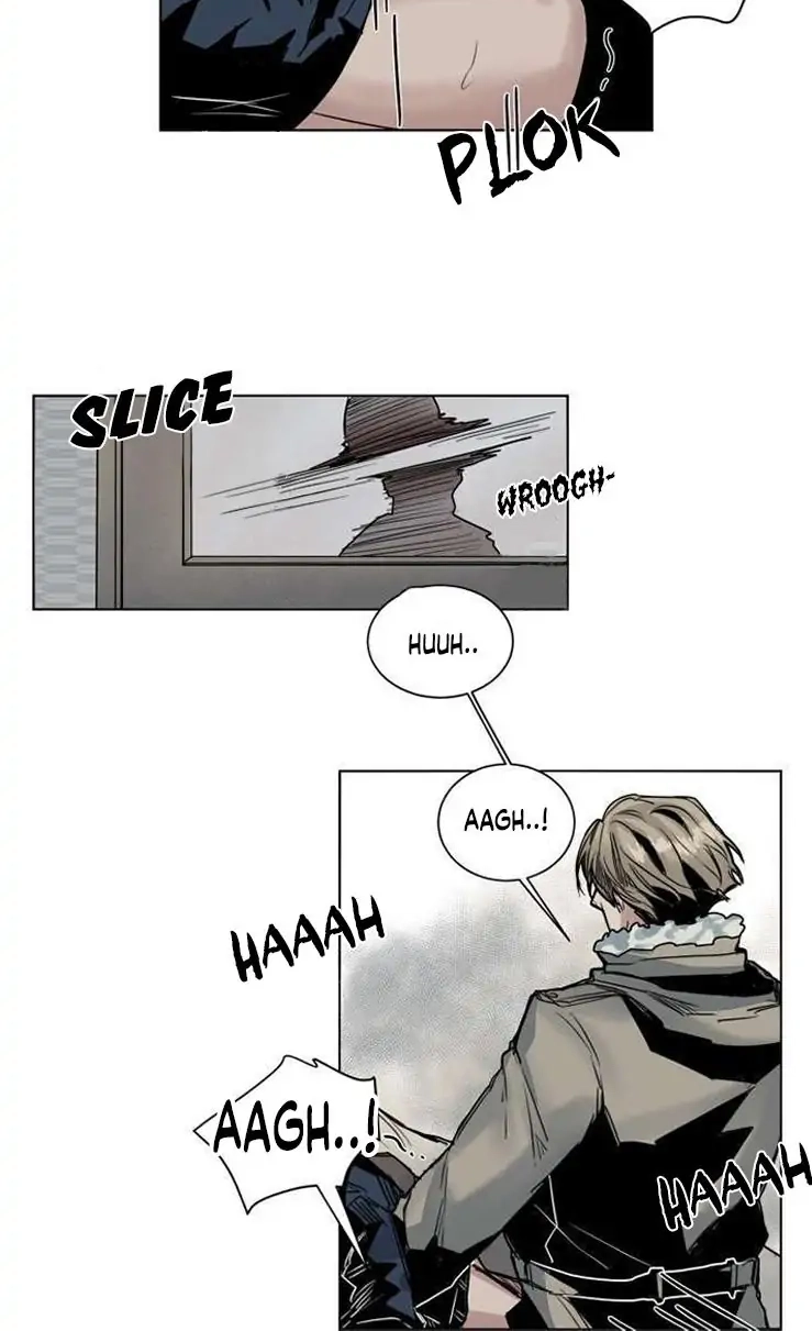 A Dead Crow