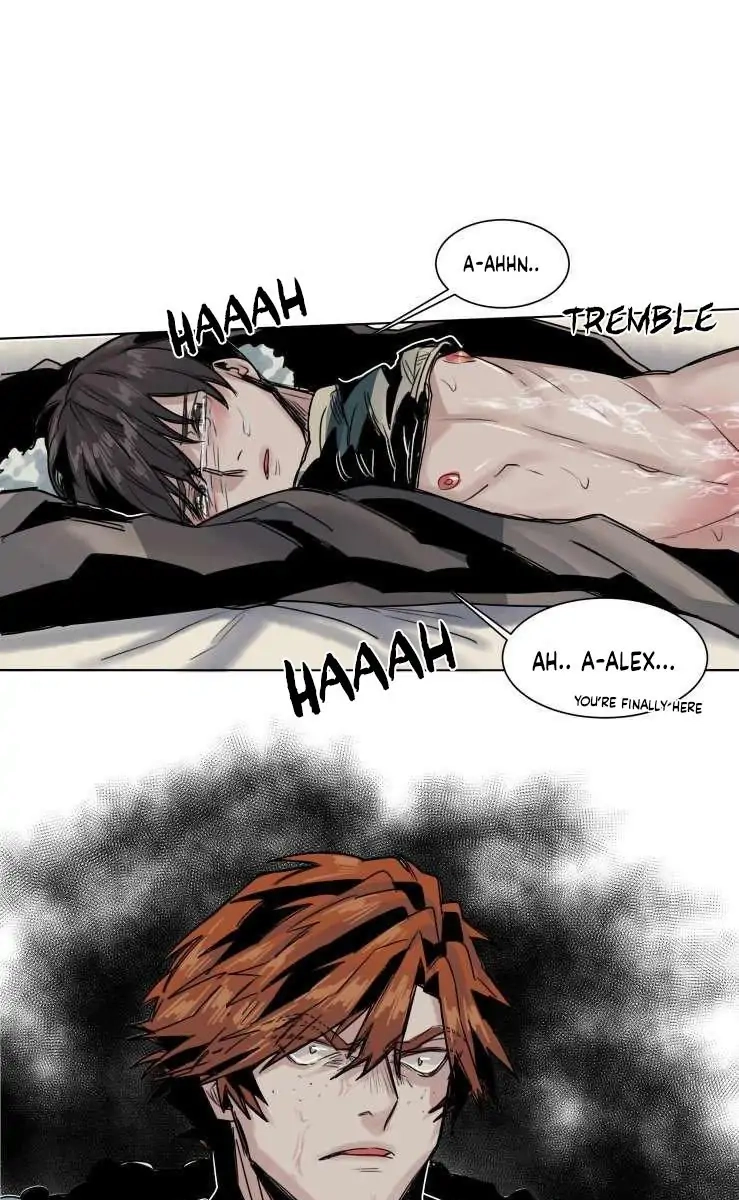 A Dead Crow