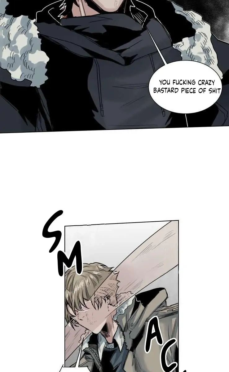 A Dead Crow