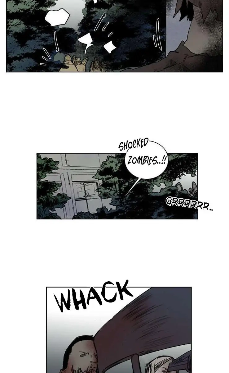 A Dead Crow