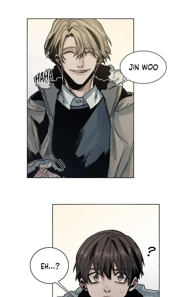 A Dead Crow